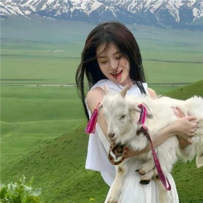歼灭行动粤语